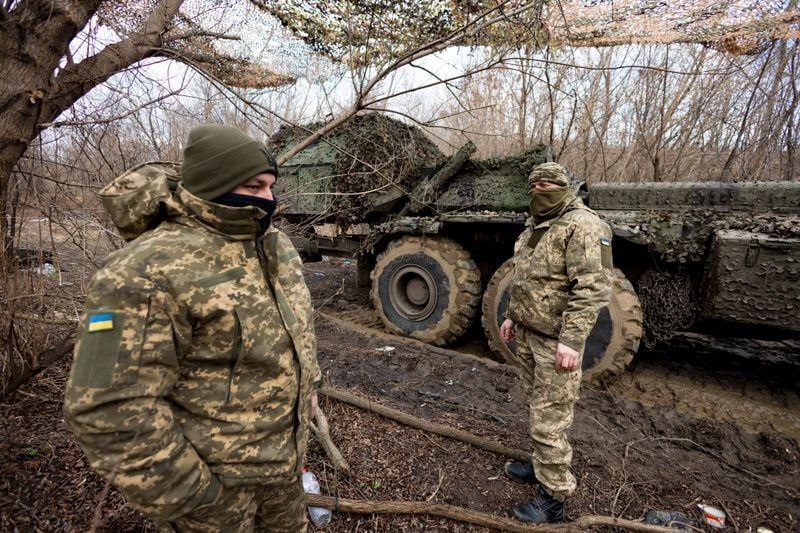 Где в Херсонской области можно купить местные елки (АДРЕСА) -- новости Херсона